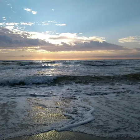 Zacisze Sosnowe Σπίτι διακοπών Łazy