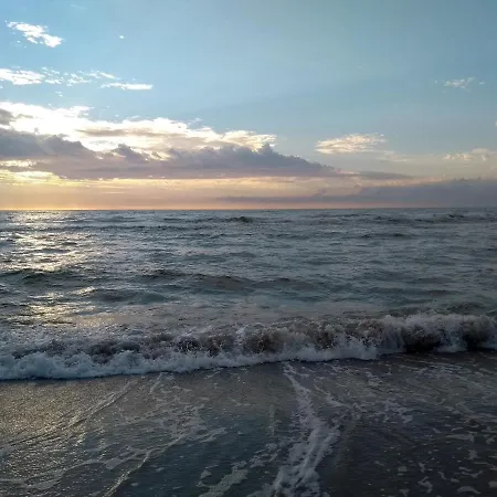 Zacisze Sosnowe Σπίτι διακοπών Łazy