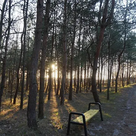 Holiday home Zacisze Sosnowe *
