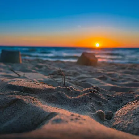 Zacisze Sosnowe 펜션 Łazy