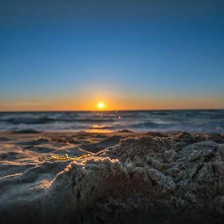 Zacisze Sosnowe Łazy