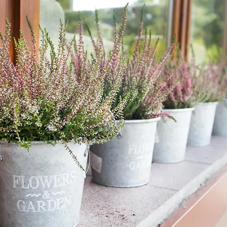 Zacisze Sosnowe Dom wakacyjny *