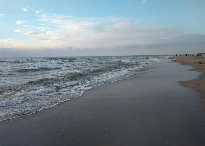 Dom wakacyjny Zacisze Sosnowe *