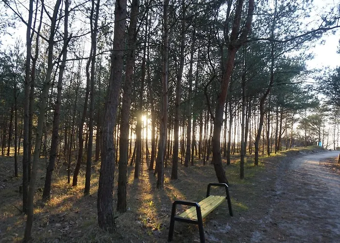 Dom wakacyjny Zacisze Sosnowe *