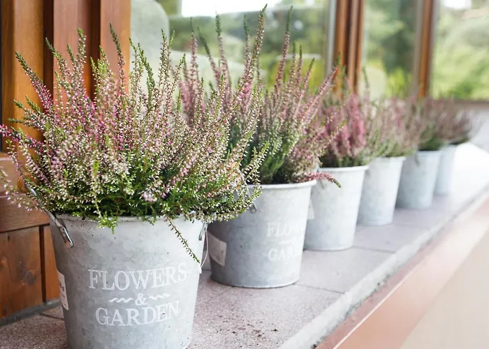 Zacisze Sosnowe Dom wakacyjny *